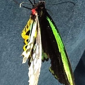 Meet your Posher, Nilsa